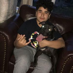 Meet your Posher, Ray